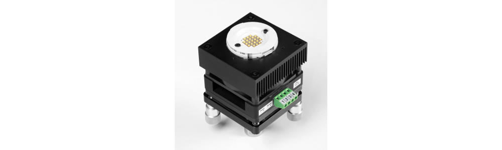Test socket